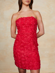 3D Floral Mini Dress in Red