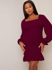 Long Sleeve Shirred Mini Dress in Wine